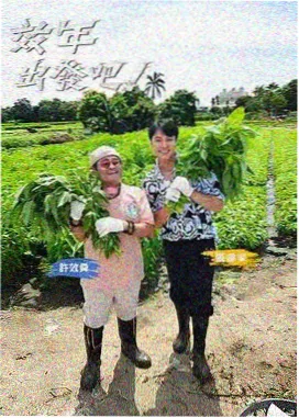 剪辑节奏与时间处理模块的示意图